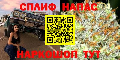 гидра Брянск