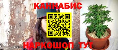 гидра Брянск