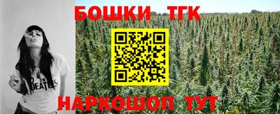 гидра Брянск