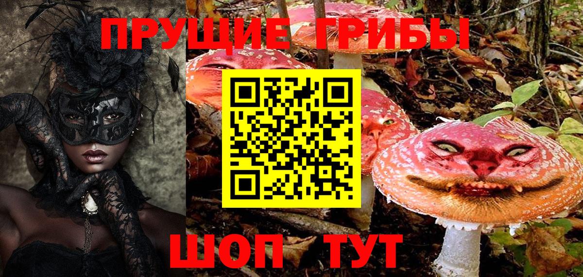 Зерноград  Галлюциногенные грибы мухоморы  Псилоцибиновые грибы Psilocybe  что такое   Вход с VPN 