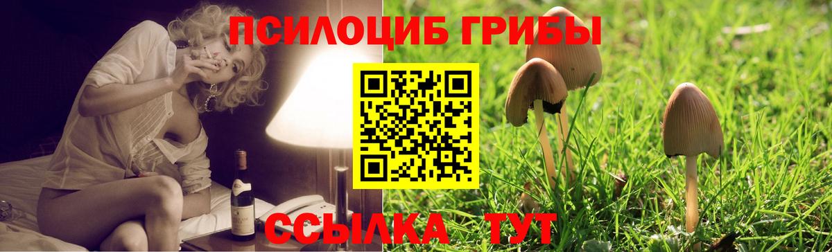 Галлюциногенные грибы мицелий Зерноград